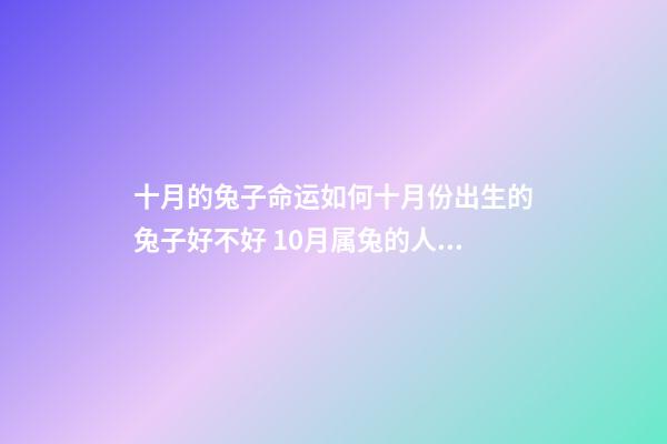 十月的兔子命运如何十月份出生的兔子好不好 10月属兔的人命好吗 10月出生属兔人命运怎么样-第1张-观点-玄机派